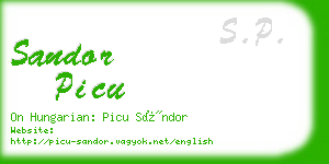 sandor picu business card